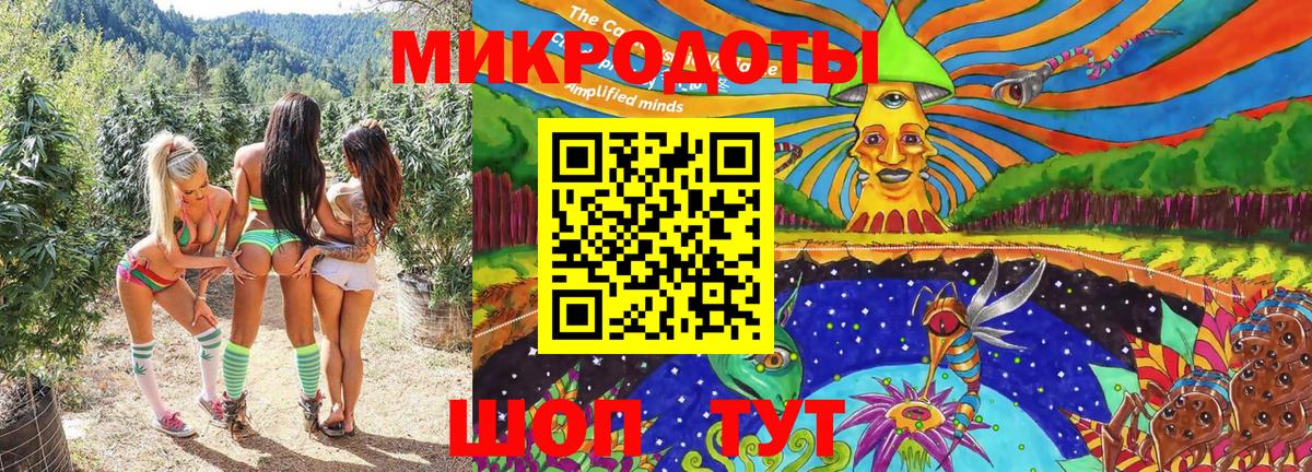 Галлюциногенные грибы Psilocybine cubensis Луга