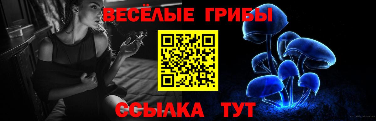 где найти   Псилоцибиновые грибы прущие грибы  Псилоцибиновые грибы мицелий  Вход с VPN  Луга 
